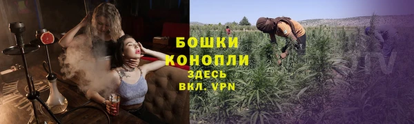 метадон Каменногорск