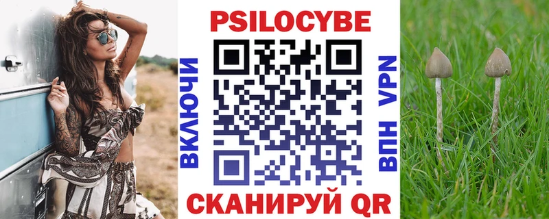 Галлюциногенные грибы Magic Shrooms  Купить  Жердевка 